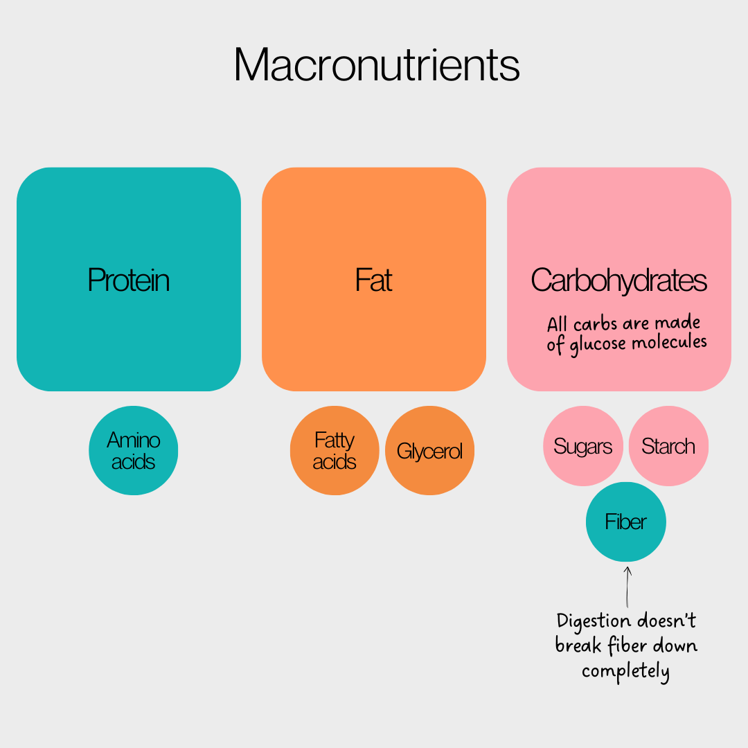 Macronutrients