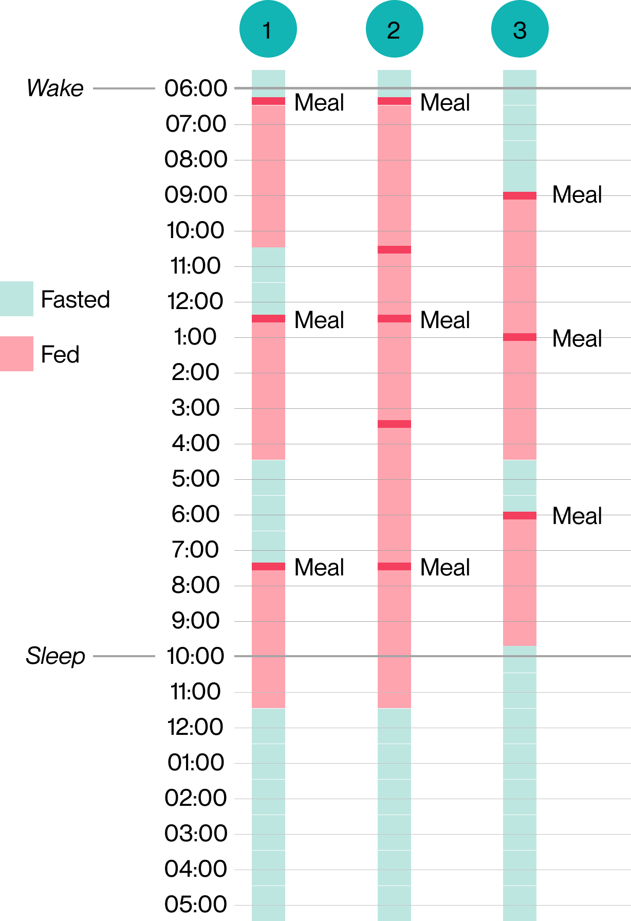Meal timeline