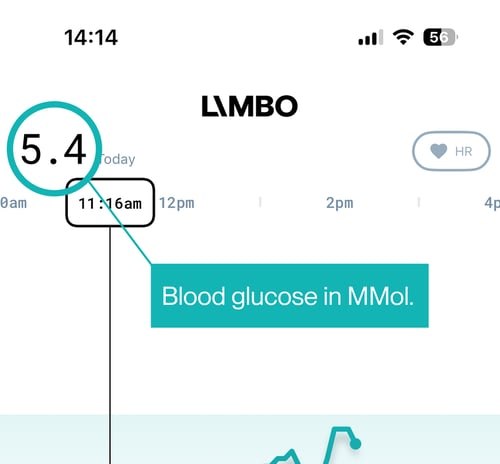 Blood glucose